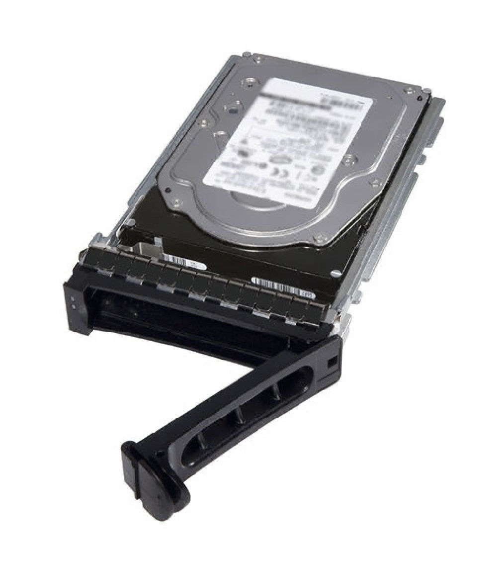 DELL 400-ATJJ disque dur 1 To 7200 tr/min 3.5" Série ATA III