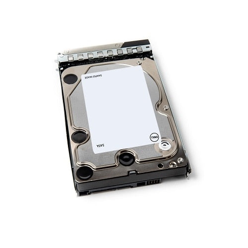 DELL 161-BBSV disque dur 20 To 7200 tr/min 3.5" Série ATA III