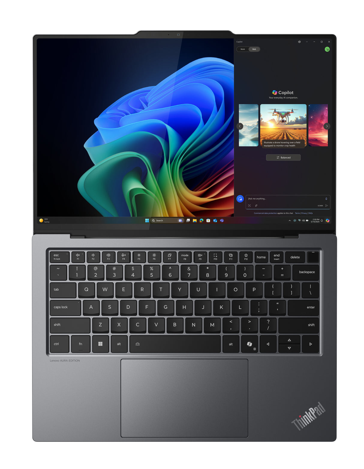 Image 15