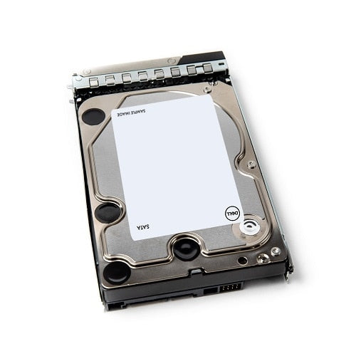 DELL 161-BBTG disque dur 20 To 7200 tr/min 3.5" Série ATA III
