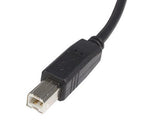 StarTech USB 2.0 A to B Cable - 10 ft - 480Mbps